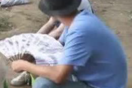 宽城如何避免债务纠纷？专业追讨公司教您应对之策