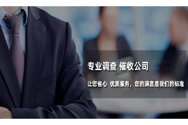 宽城为什么选择专业追讨公司来处理您的债务纠纷？