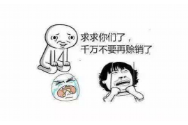 宽城专业催债公司的市场需求和前景分析